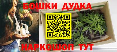 ПСИЛОЦИБИНОВЫЕ ГРИБЫ Гагарин