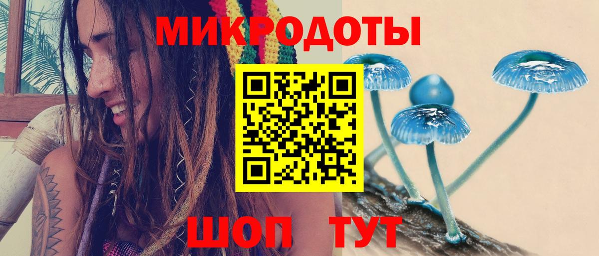 купить   Галлюциногенные грибы Magic Shrooms  Вход с VPN  Десногорск 